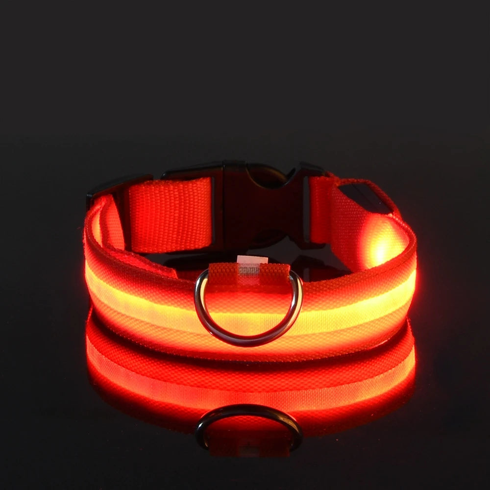 LED Nylon Dog Leash & Collar – Glow-in-the-Dark, Flashing, Night Safety for Pets