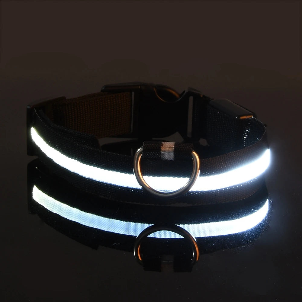 LED Nylon Dog Leash & Collar – Glow-in-the-Dark, Flashing, Night Safety for Pets