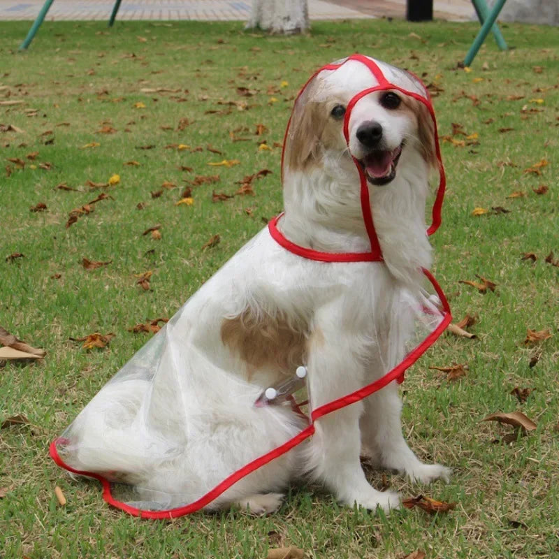 Transparent Waterproof Dog Raincoat