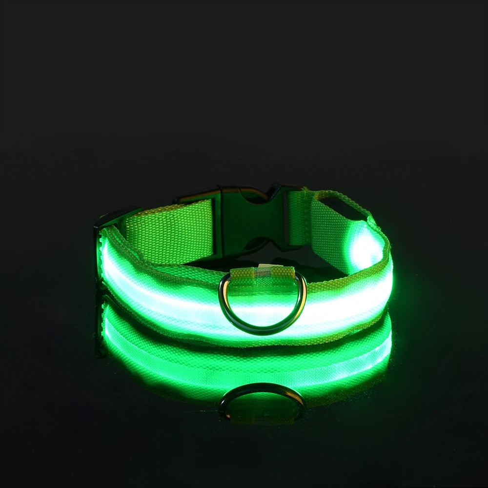 LED Nylon Dog Leash & Collar – Glow-in-the-Dark, Flashing, Night Safety for Pets