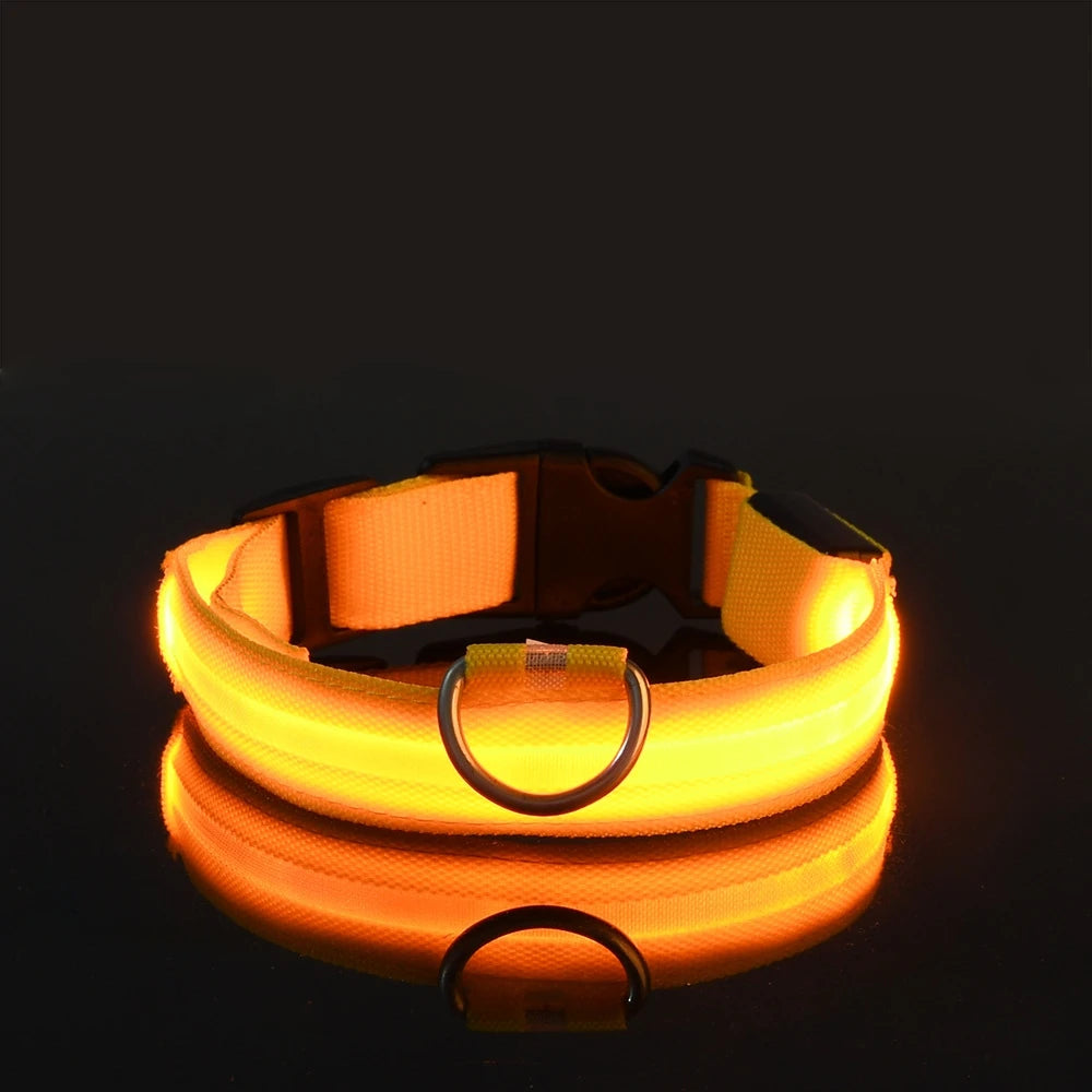 LED Nylon Dog Leash & Collar – Glow-in-the-Dark, Flashing, Night Safety for Pets