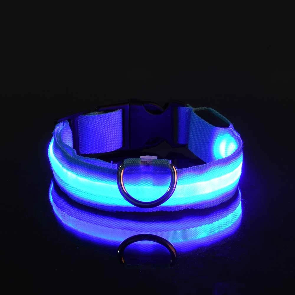 LED Nylon Dog Leash & Collar – Glow-in-the-Dark, Flashing, Night Safety for Pets