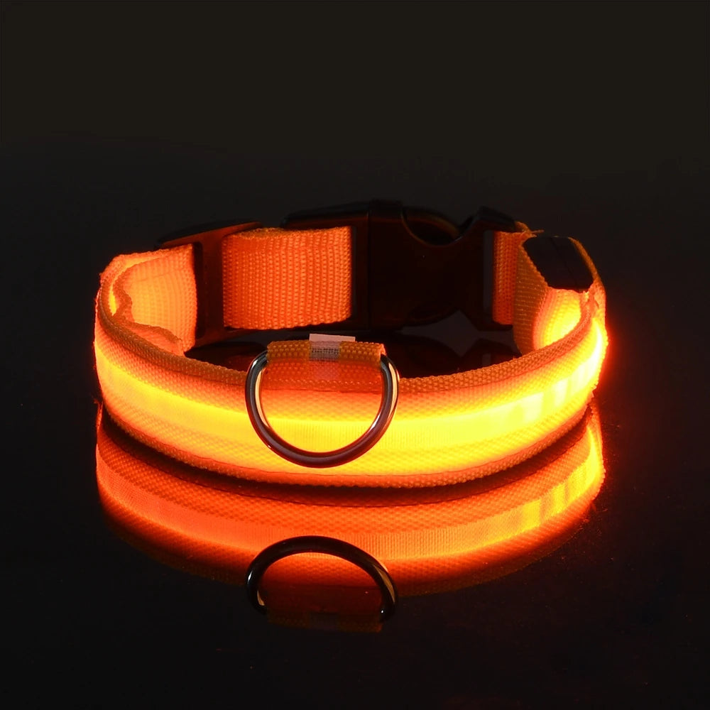 LED Nylon Dog Leash & Collar – Glow-in-the-Dark, Flashing, Night Safety for Pets