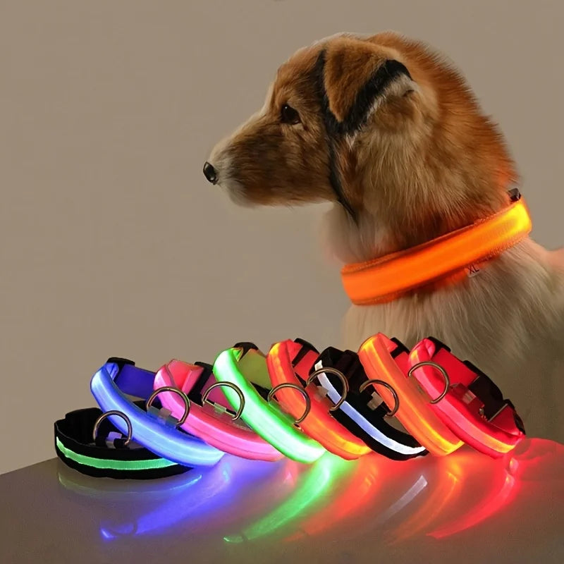 LED Nylon Dog Leash & Collar – Glow-in-the-Dark, Flashing, Night Safety for Pets