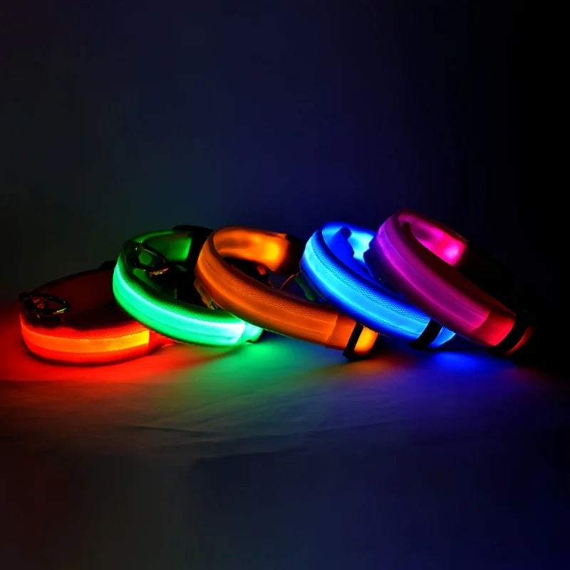 LED Nylon Dog Leash & Collar – Glow-in-the-Dark, Flashing, Night Safety for Pets