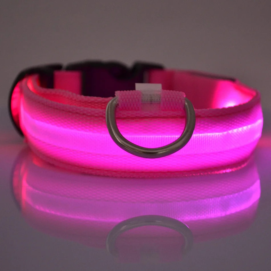 LED Nylon Dog Leash & Collar – Glow-in-the-Dark, Flashing, Night Safety for Pets