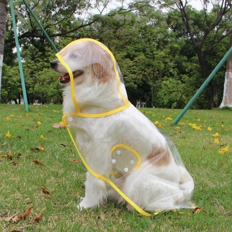 Transparent Waterproof Dog Raincoat