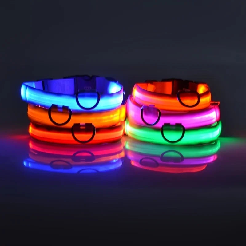 LED Nylon Dog Leash & Collar – Glow-in-the-Dark, Flashing, Night Safety for Pets