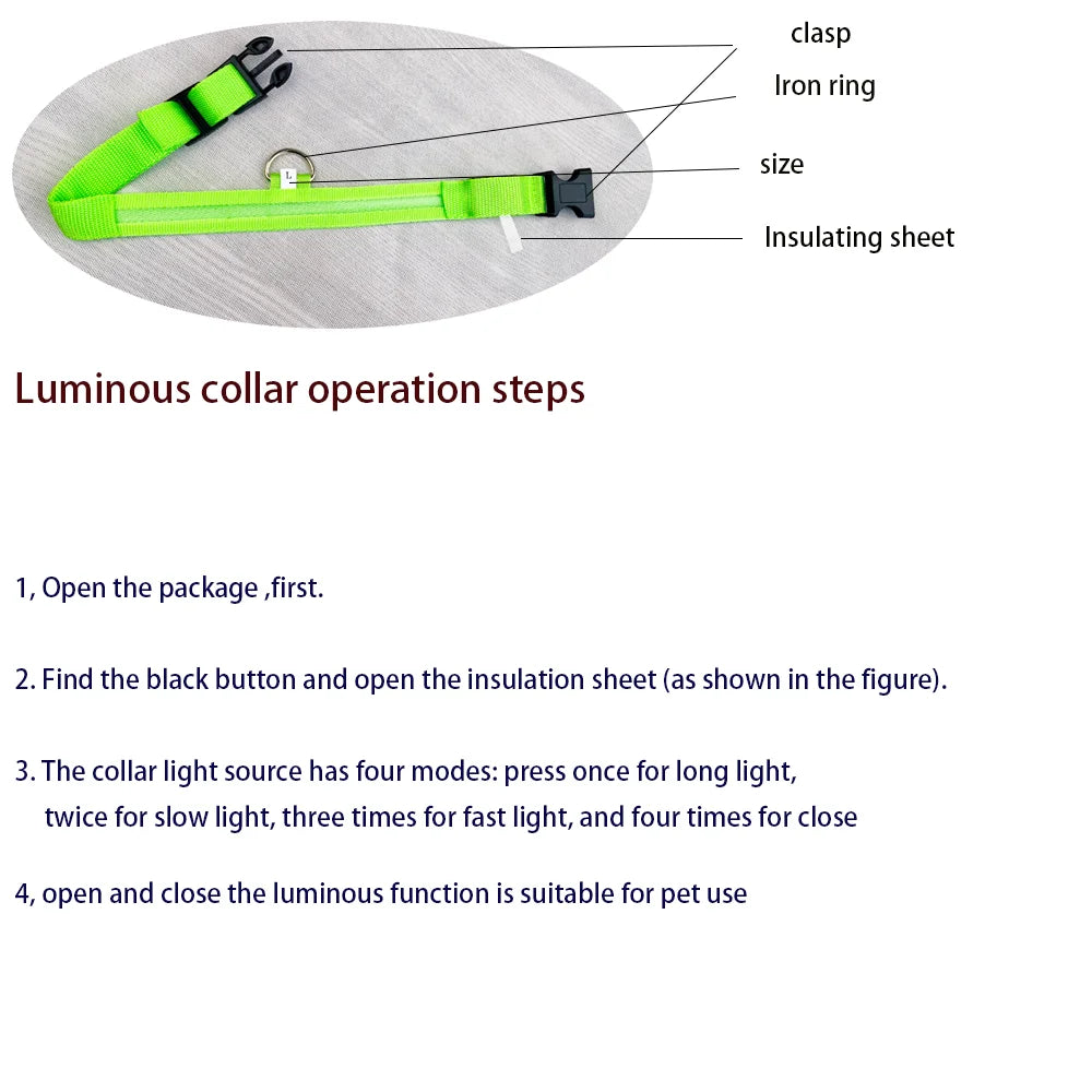 LED Nylon Dog Leash & Collar – Glow-in-the-Dark, Flashing, Night Safety for Pets