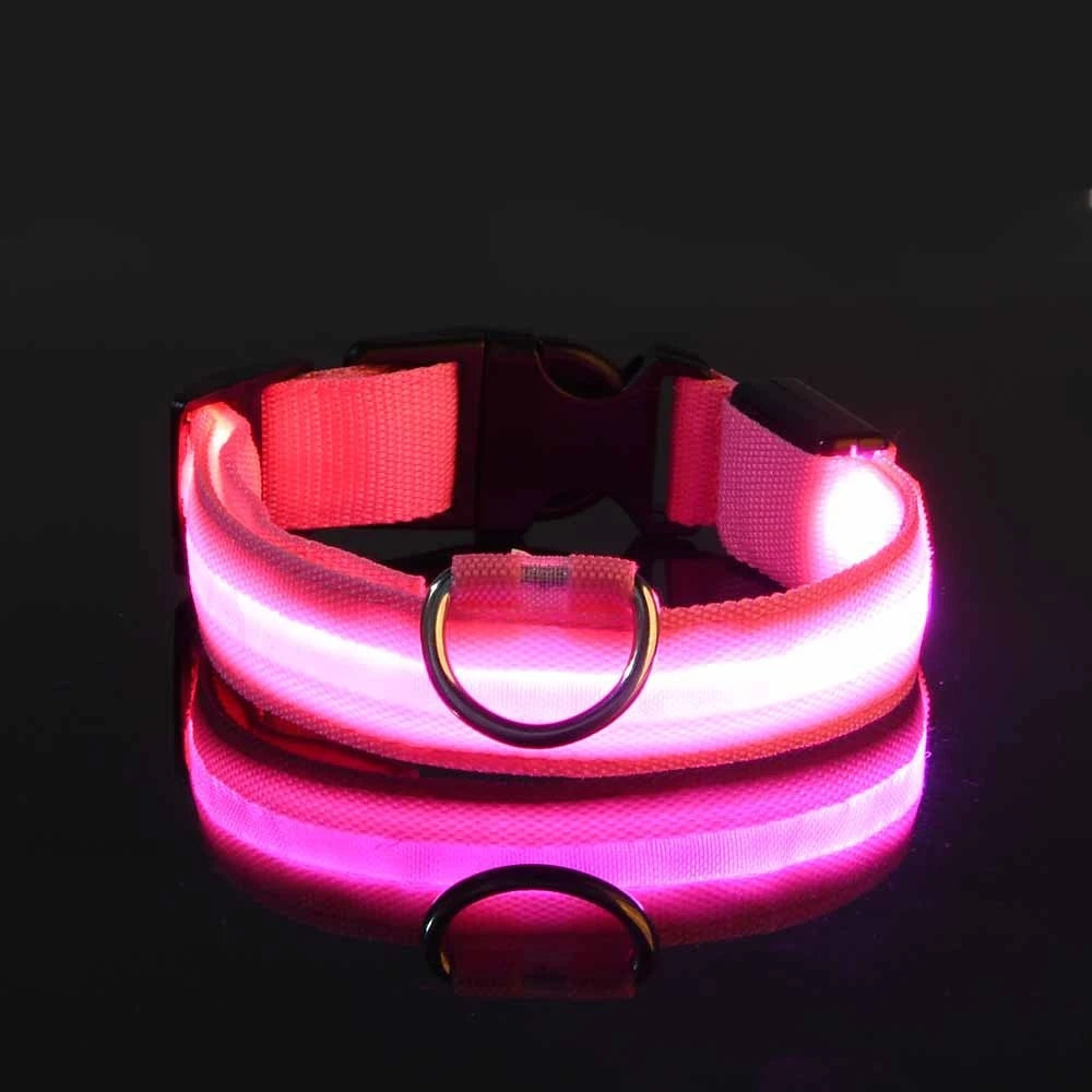 LED Nylon Dog Leash & Collar – Glow-in-the-Dark, Flashing, Night Safety for Pets
