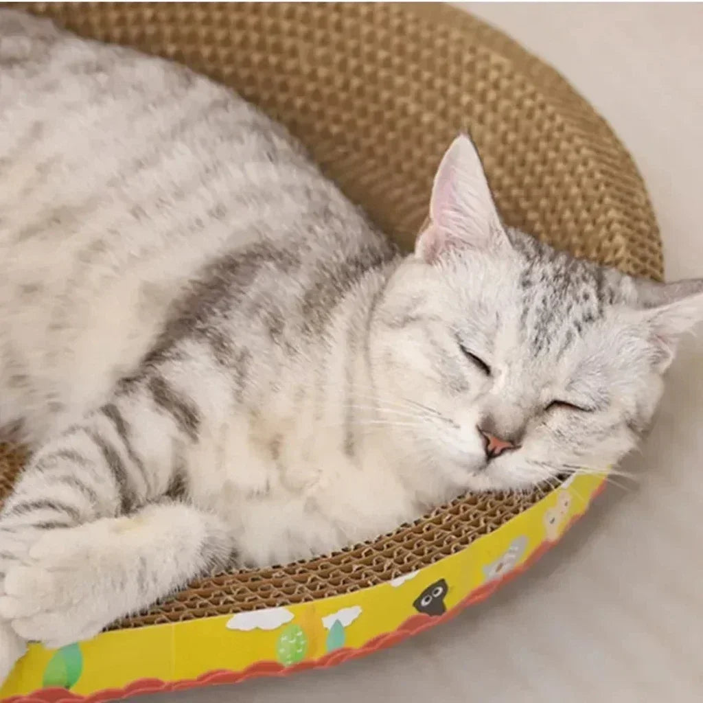 Cat Scratcher and Bed