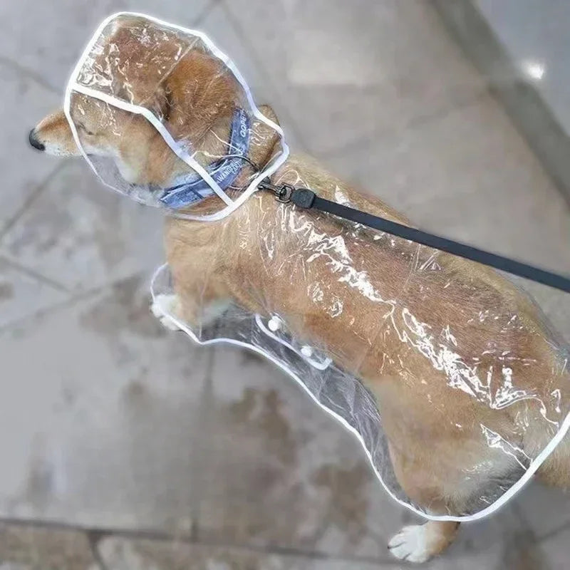 Transparent Waterproof Dog Raincoat