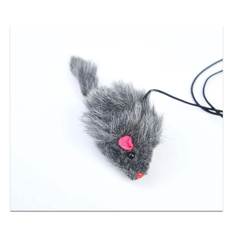 Hanging Cat Toy