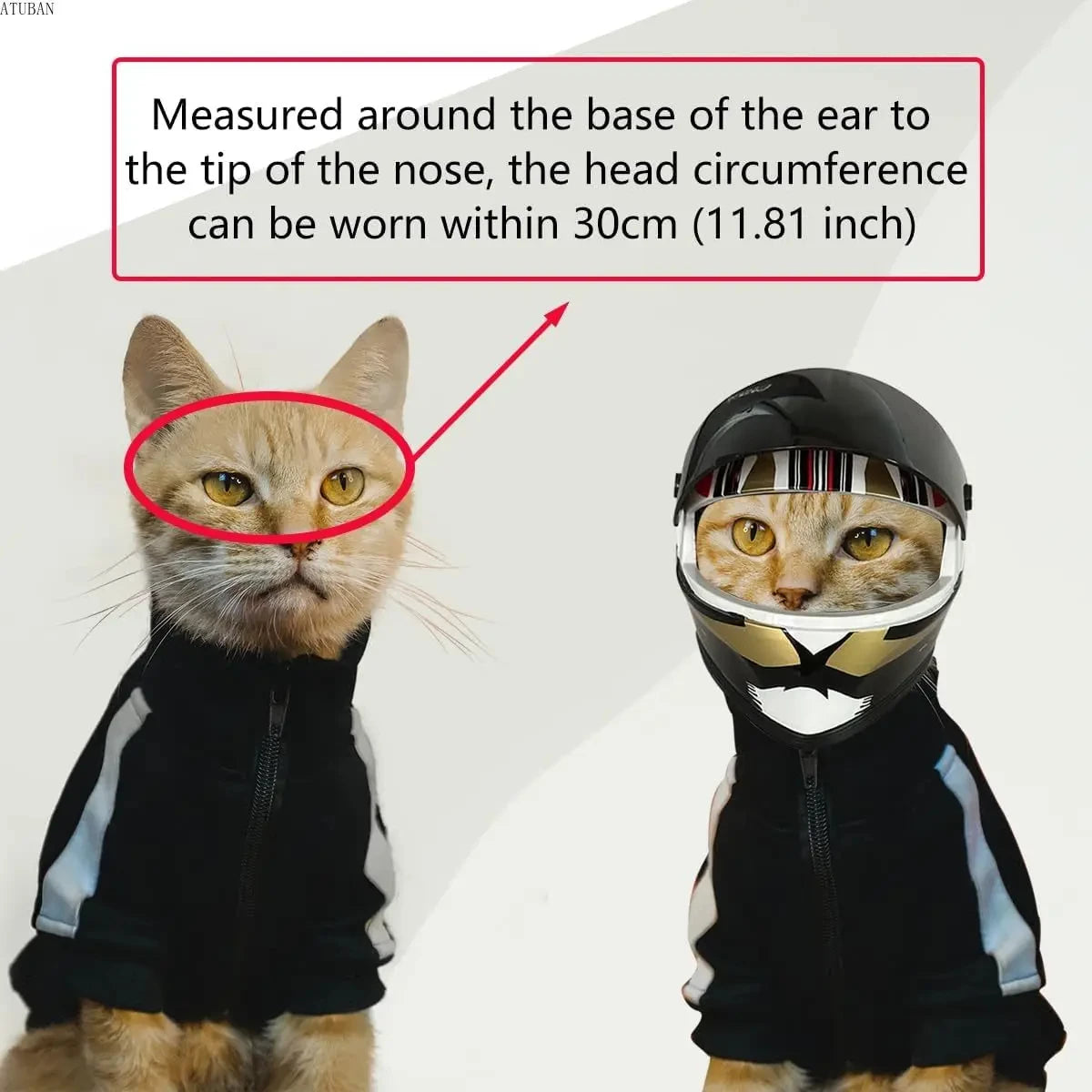 DIY Pet Helmet – Mini Cat & Dog Safety Hat for Outdoors, Photos, or Motorcycle