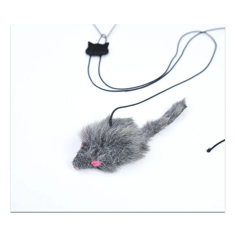 Hanging Cat Toy