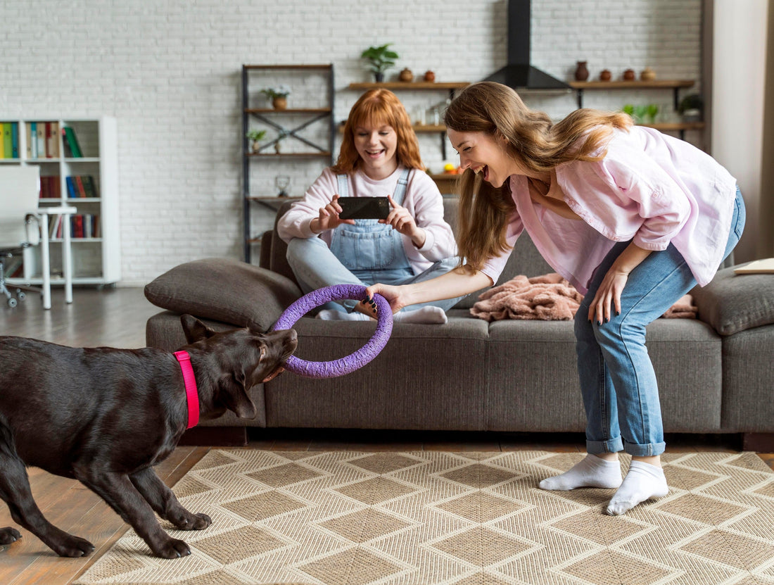Why Pet Toys Are More Than Just Fun