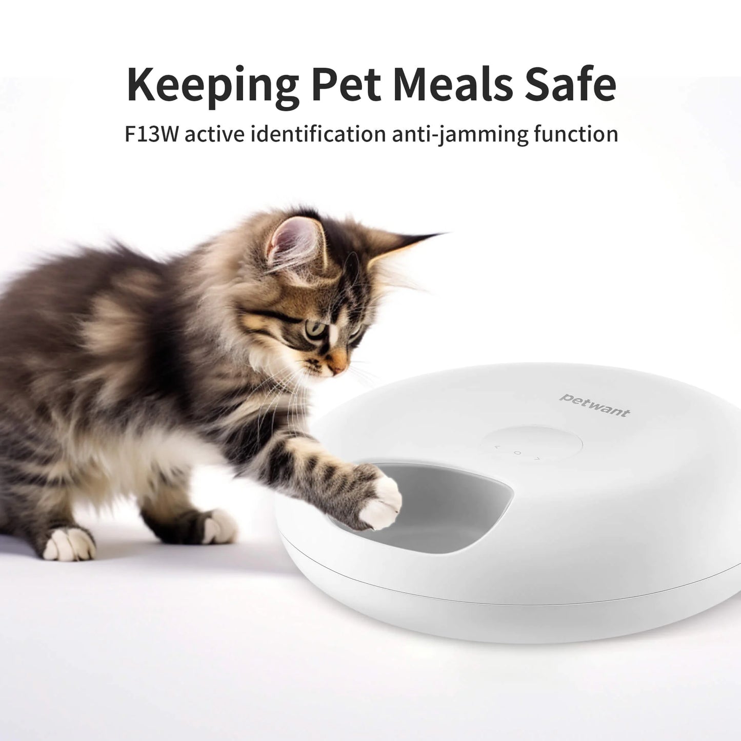 Smart WiFi 6-Meal Automatic Cat & Dog Feeder with App Control and Ice Packs