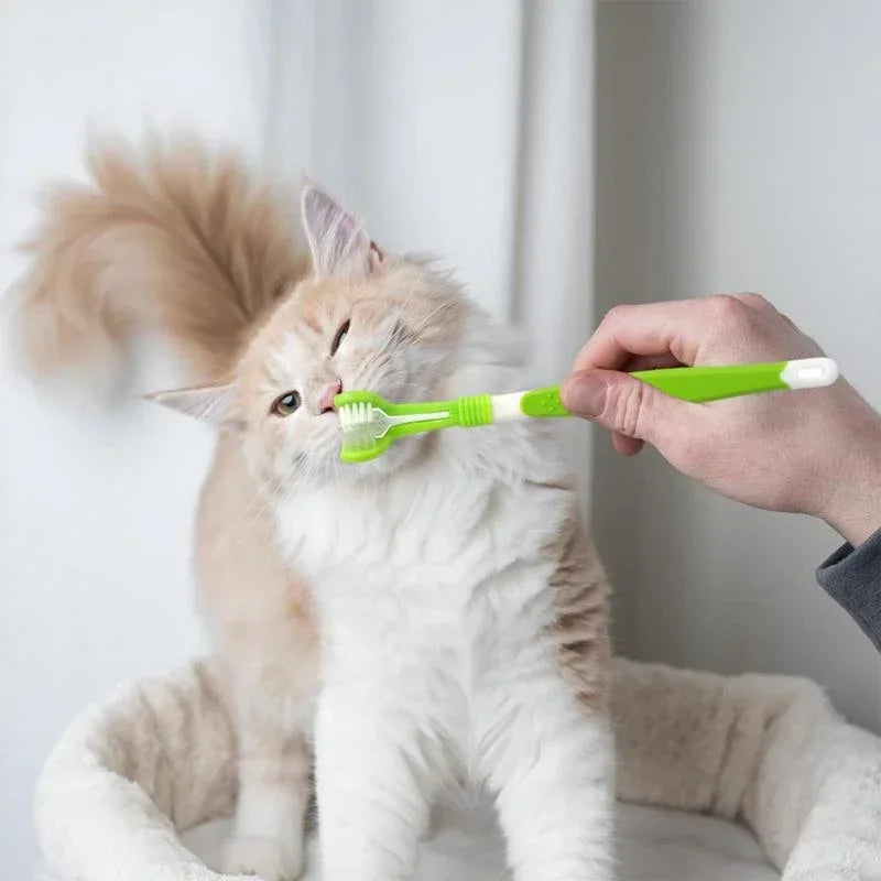 3-Sided Pet Toothbrush – Plastic Dental Brush for Dogs & Cats, Removes Bad Breath, Tartar & Cleans Teeth