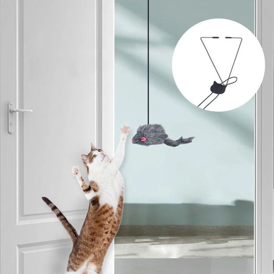 Hanging Cat Toy