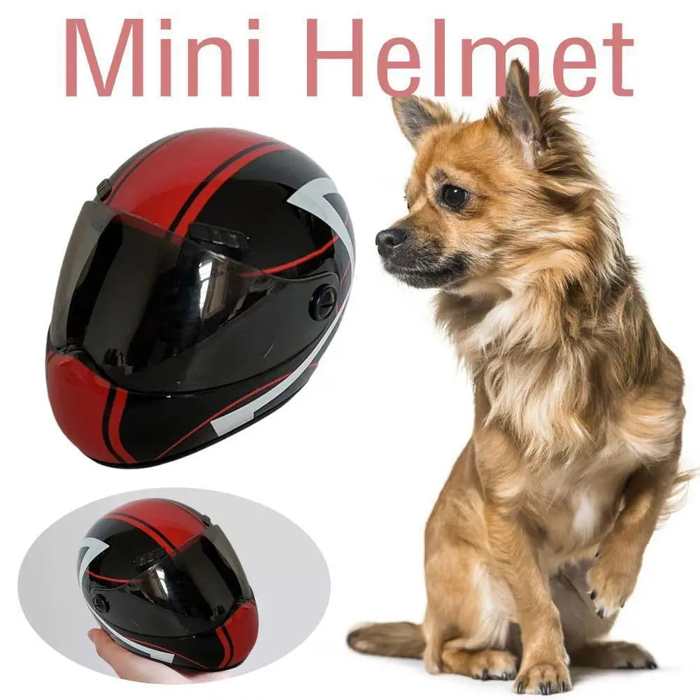 DIY Pet Helmet – Mini Cat & Dog Safety Hat for Outdoors, Photos, or Motorcycle