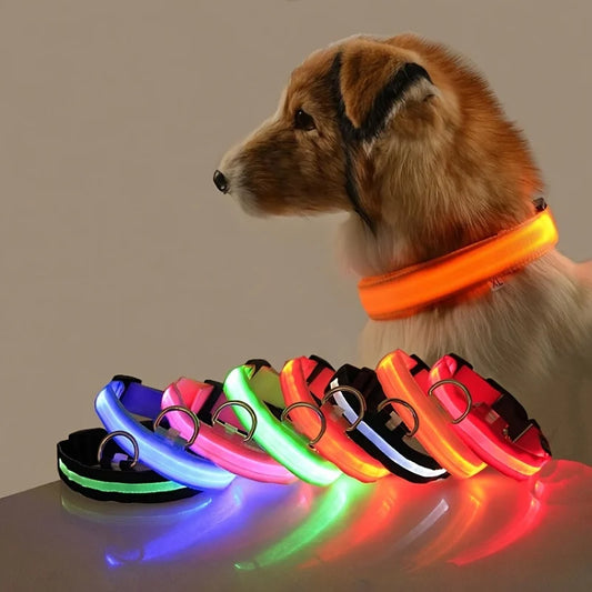 LED Nylon Dog Leash & Collar – Glow-in-the-Dark, Flashing, Night Safety for Pets