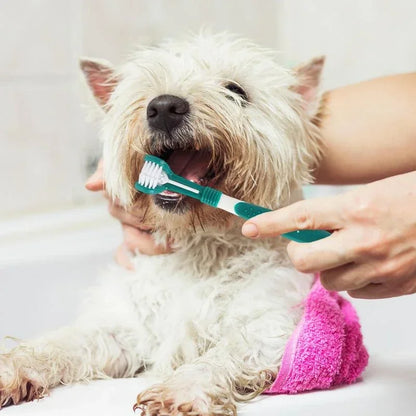 3-Sided Pet Toothbrush – Plastic Dental Brush for Dogs & Cats, Removes Bad Breath, Tartar & Cleans Teeth
