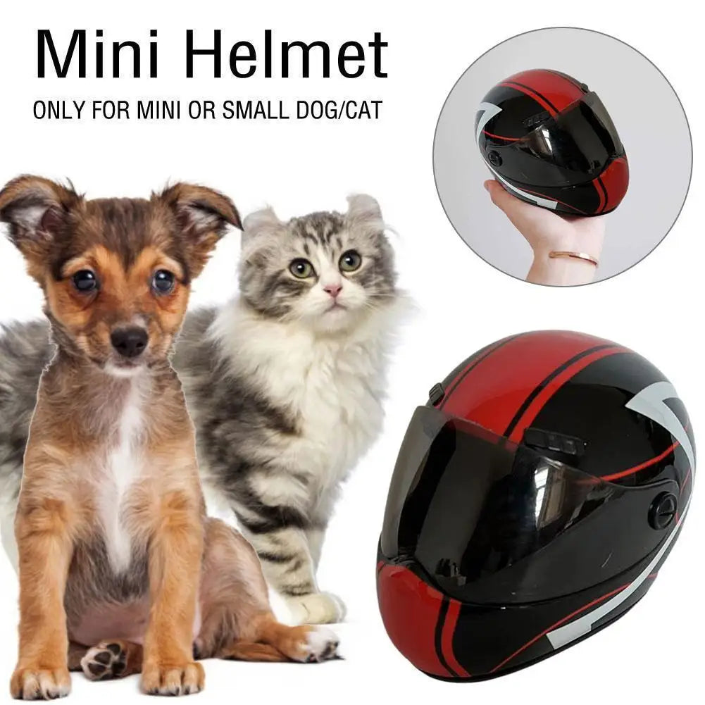 DIY Pet Helmet – Mini Cat & Dog Safety Hat for Outdoors, Photos, or Motorcycle