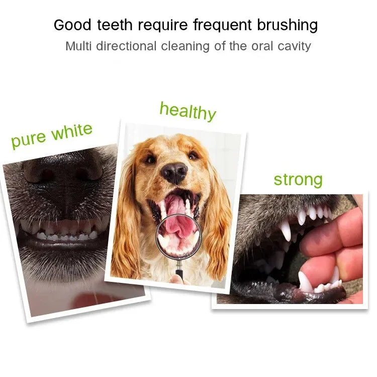 3-Sided Pet Toothbrush – Plastic Dental Brush for Dogs & Cats, Removes Bad Breath, Tartar & Cleans Teeth