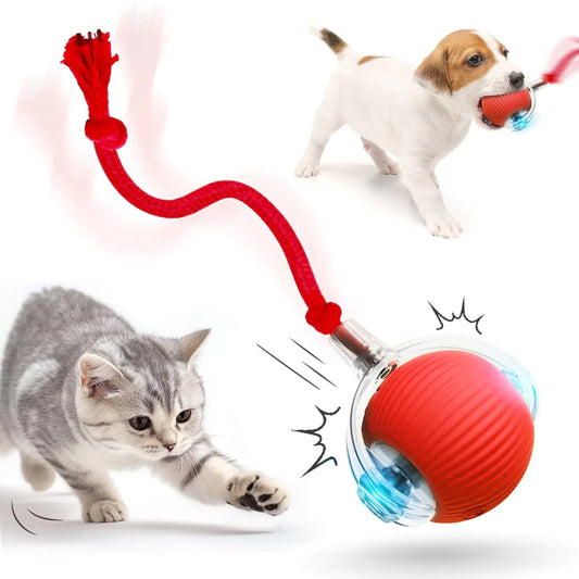 Interactive Cat Toy Ball 2025